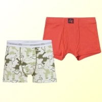 Boys Underwear