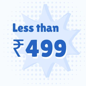 Less than ₹499