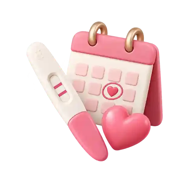 Planning + 1st Trimester